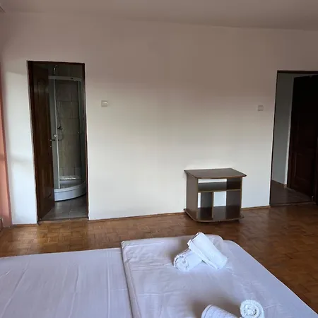 Alexandra 酒店 Geoagiu Băi